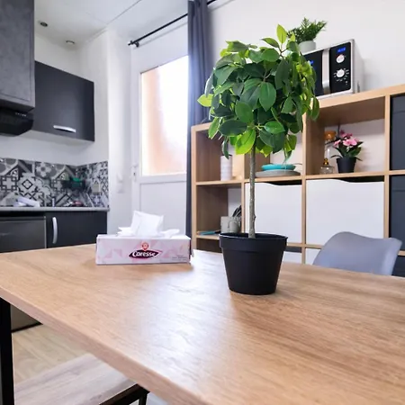 Avec Terrasse Apartment *